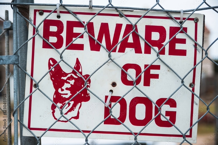 What to Do If You Were Injured in a Dog Bite in Colorado