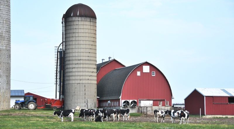 Colorado Dairy Farm Tragedy: Understanding the Legal and Safety Implications