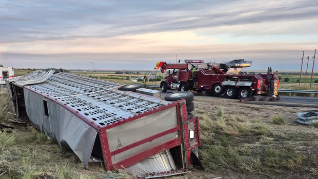 Cattle Hauler Crash